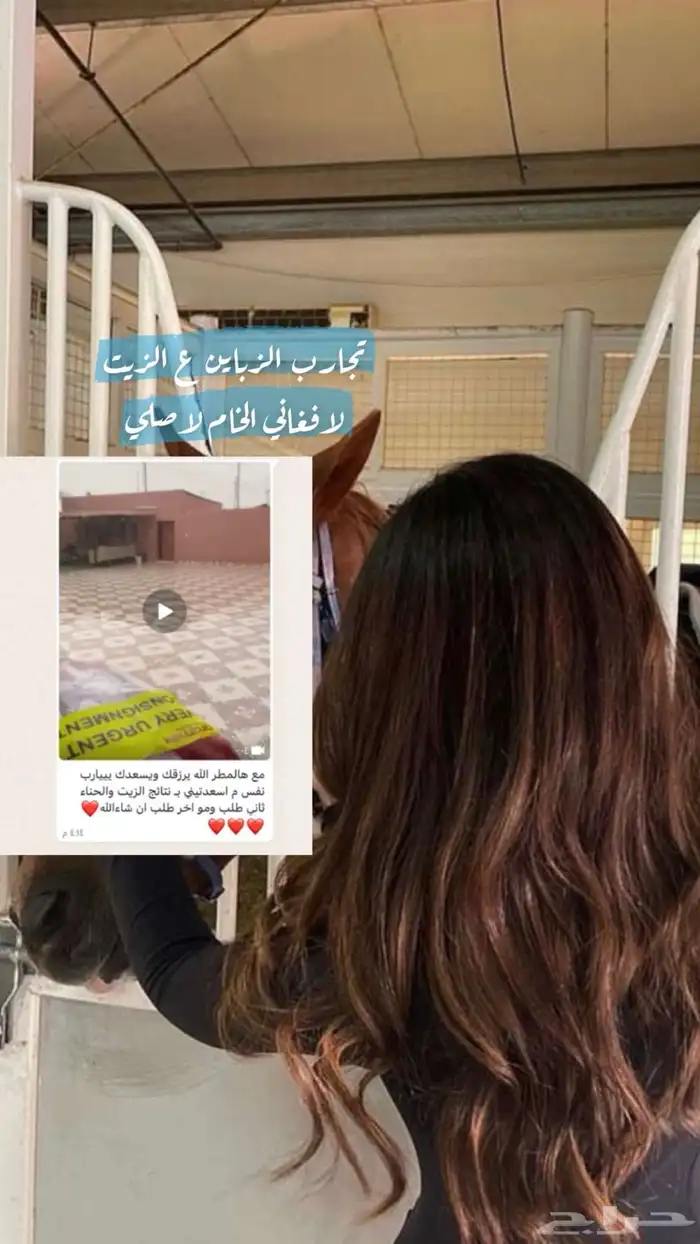 زيت افغاني خام اصلي 4