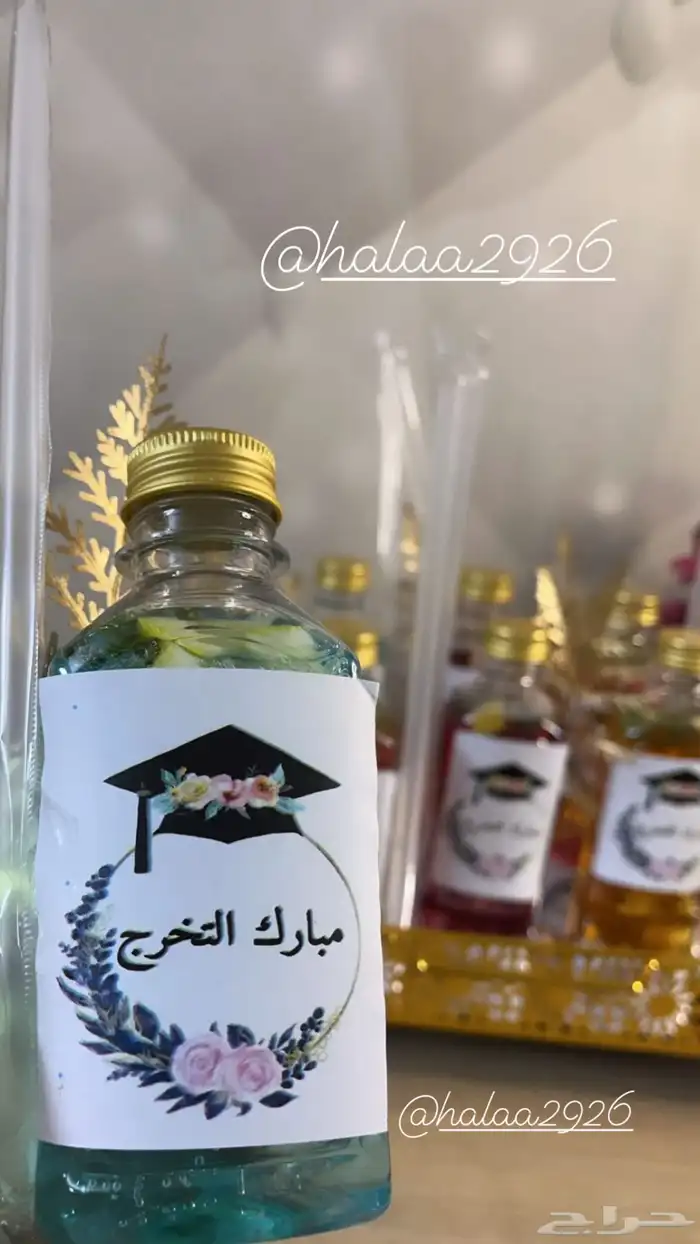 تشيز المانجو وترافل المانجو والشوكلت تبوك 13