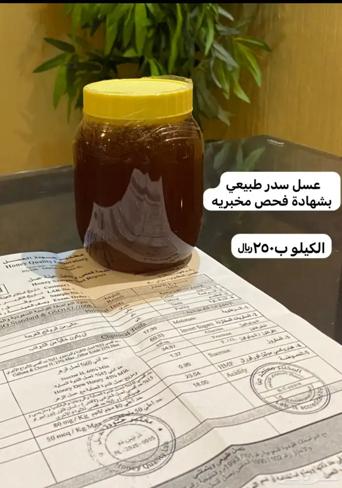 خبز تنور مرقوق عريكه مشغوثه مبثوث رضيفه عسل خبز 3