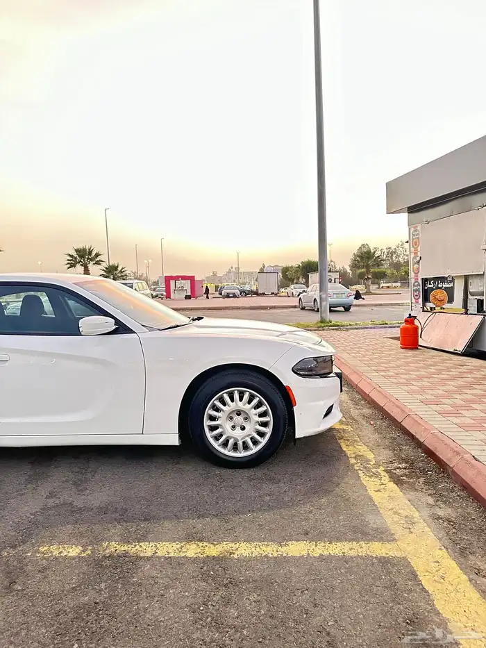 طيس دودج تشارجر البوليسي نادرة جدا 3