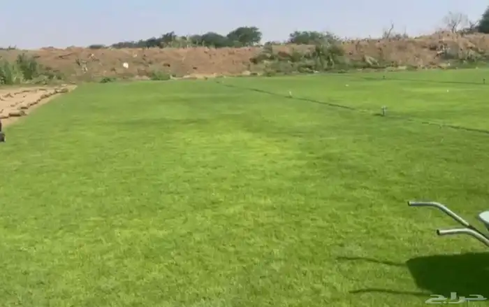 نجيل طبيعي 3