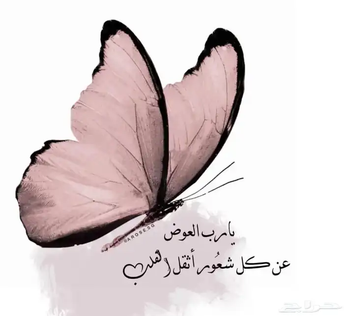 لدعاية والاعلان 0
