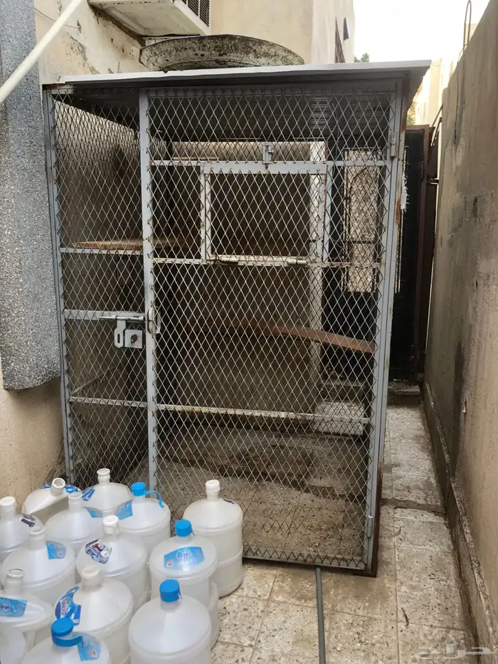 شبك طيور للبيع 0