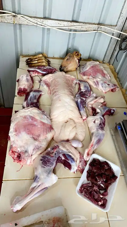 ذبايح مع خدمة الذبح والتوصيل 8