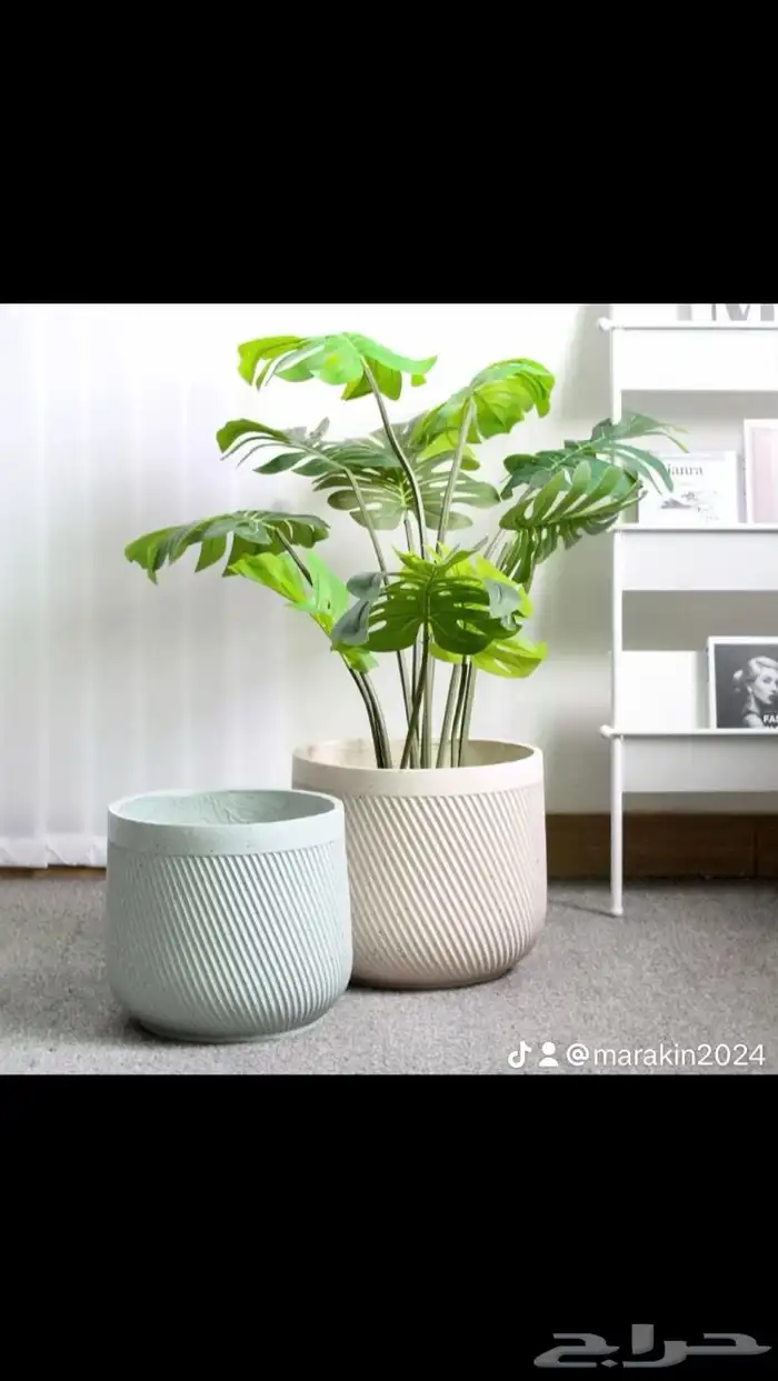 مراكن واصايص و احواض لنباتات داخلية وخارجيه باسعار مخفضة 0