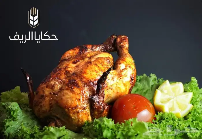 استوديو تصوير فوتوغرافي احترافي 34