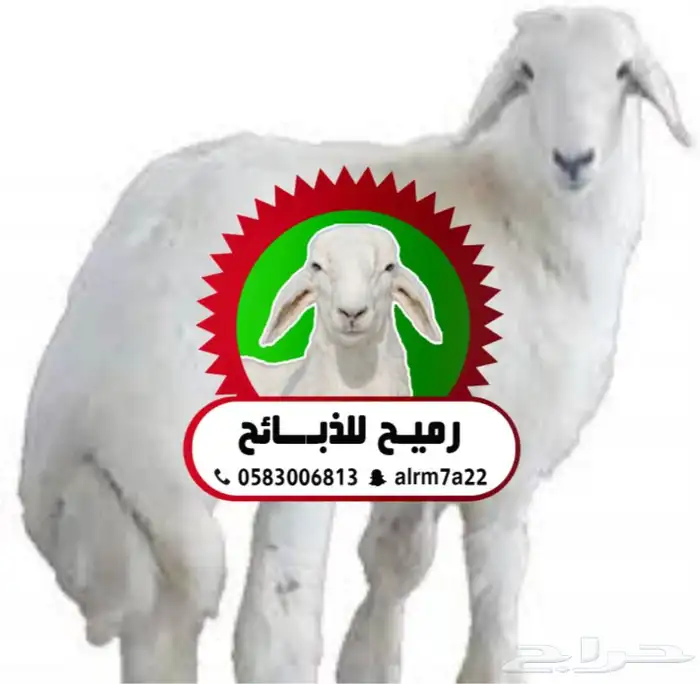 رميح للذبايح .. ذبايح هرفي حري فاخر ..ذبيحتك تاصلك لبيتك 0