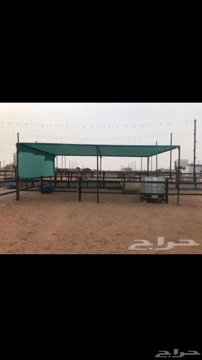 مضلاة أبل ومضلاة حلال أغنام وشراعات مياه 6