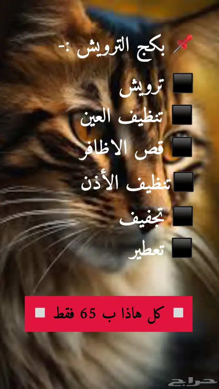 حلاقه وترويش قطط وكلاب وعلاج وتطعيمات 0