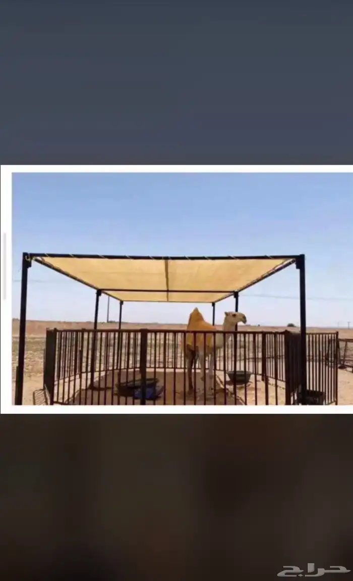 مضلاة أبل ومضلاة حلال أغنام وشراعات مياه 7