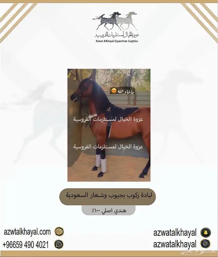 بكج ستيتوس خيل طقم سرج 11