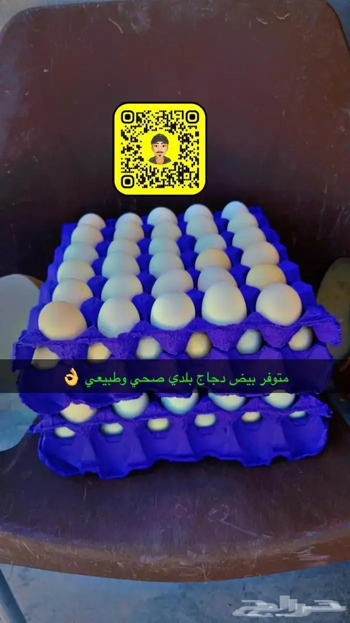 زغاليل حمام فرنسي بط بكيني ديوك بلدي دجاج بيض سمان 0