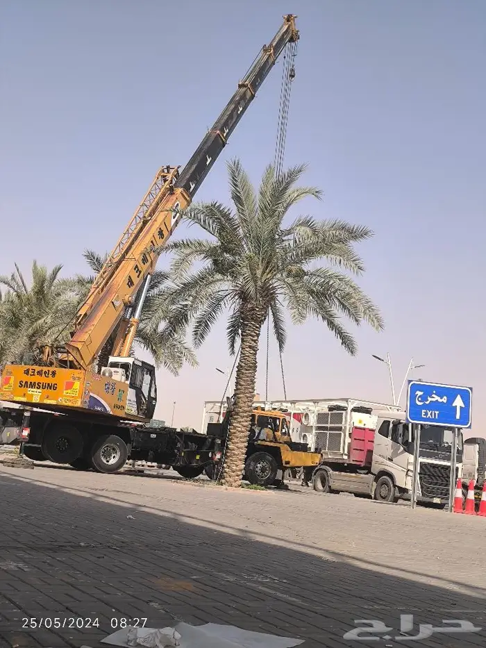 رافعات شوكيه فوركلفت سكين كرين ونش رافعات مقصيه تلسكوبيه 6