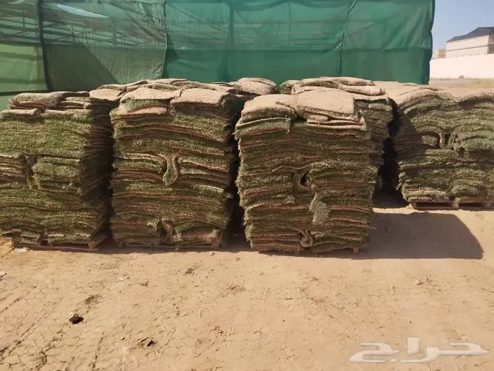 مشتل الجوهرة نجيل طببعي وصناعي اشجار زينه وفواكه 8
