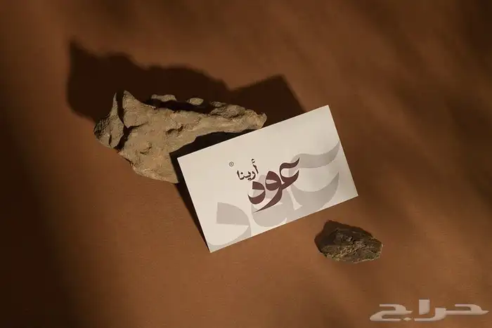 تصميم شعار لوقو احترافي و هوية بصرية متكاملة 7