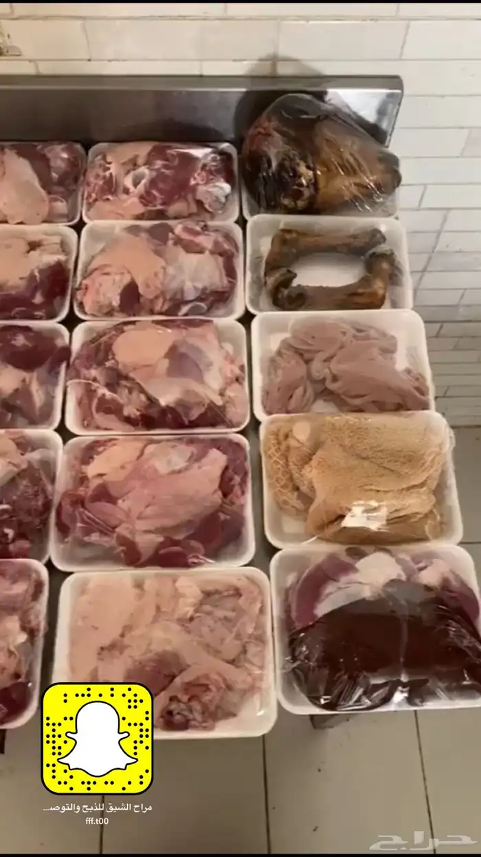 خرفان وتيوس ( ذبح وتوصيل) 9