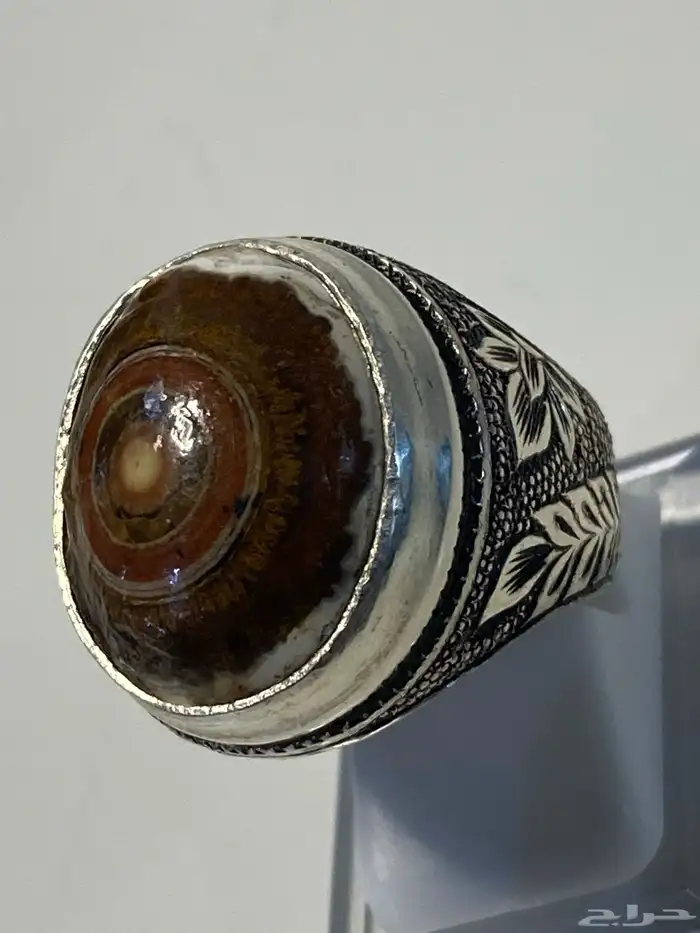 خاتم داودي يماني عين الذئب صياغة الوليف 1