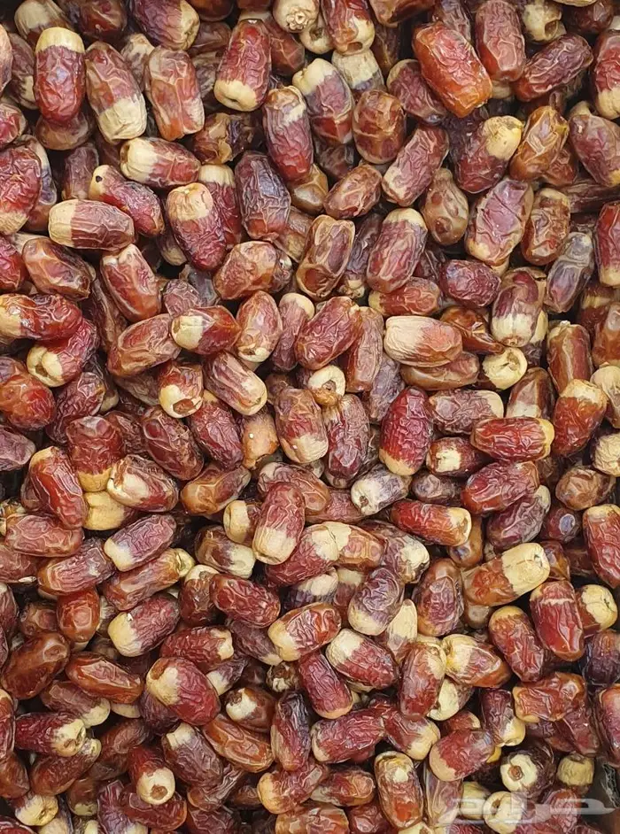 تمور مدينية فاخرة تطلبها عبر متجرنا الالكتروني 1