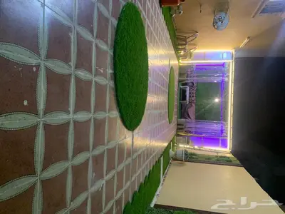 للبيع بيت دور وشقتين 38