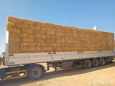 ذره جيزانيه. وذره شاميه 3