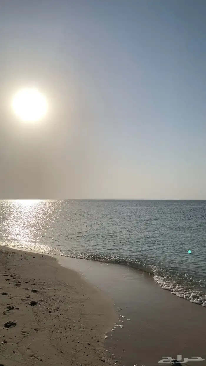 رحلات بحرية نزهه وصيد 7