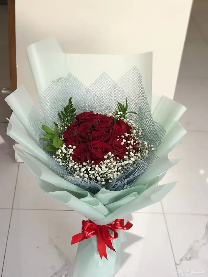 منسق وخطاط مصر 8
