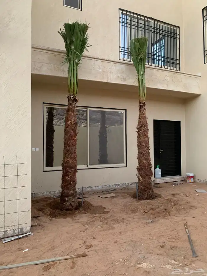 واشنطن زينه 3