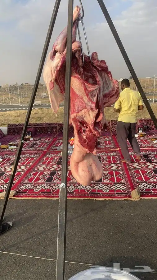 طباخ متنقل 5