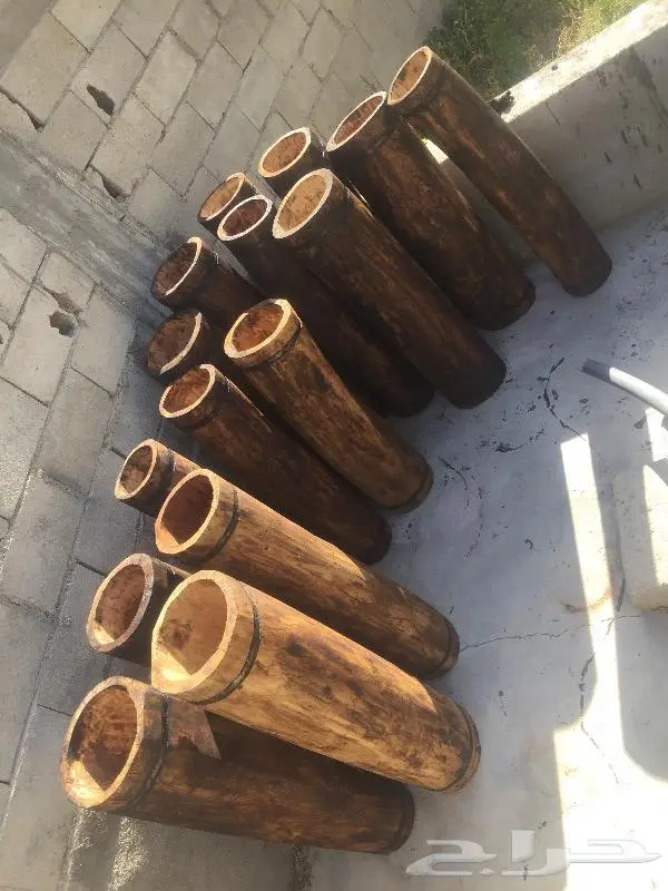 خلايا بلدي 0