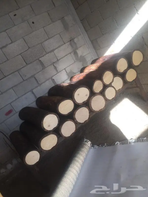 خلايا بلدي 3