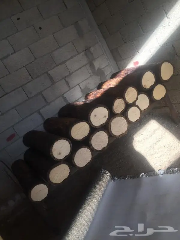 خلايا بلدي 2