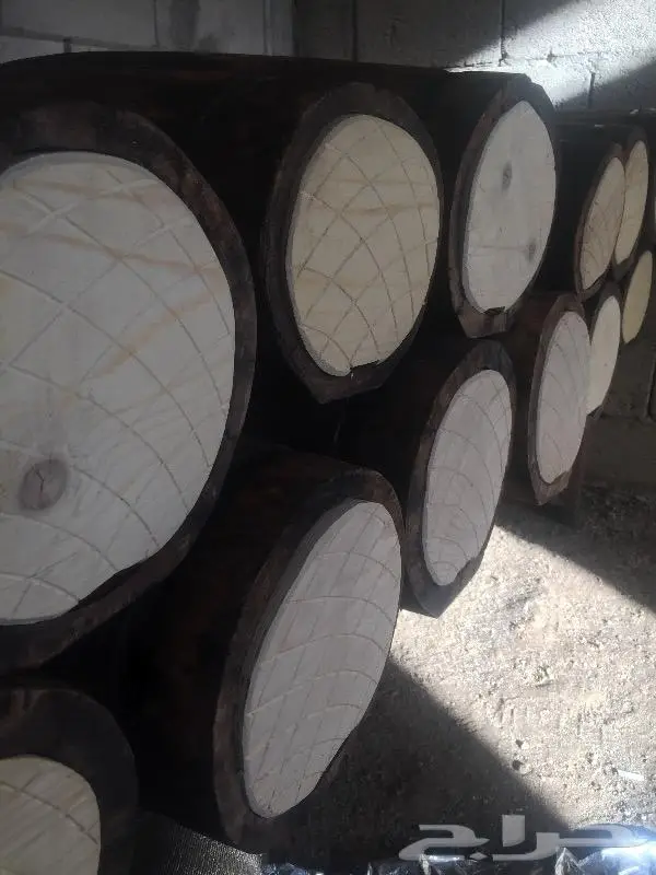 خلايا بلدي 5