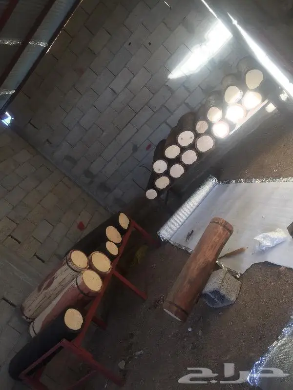 خلايا بلدي 4