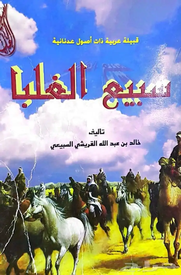 كتاب تاريخ قبيلة سبيع 0