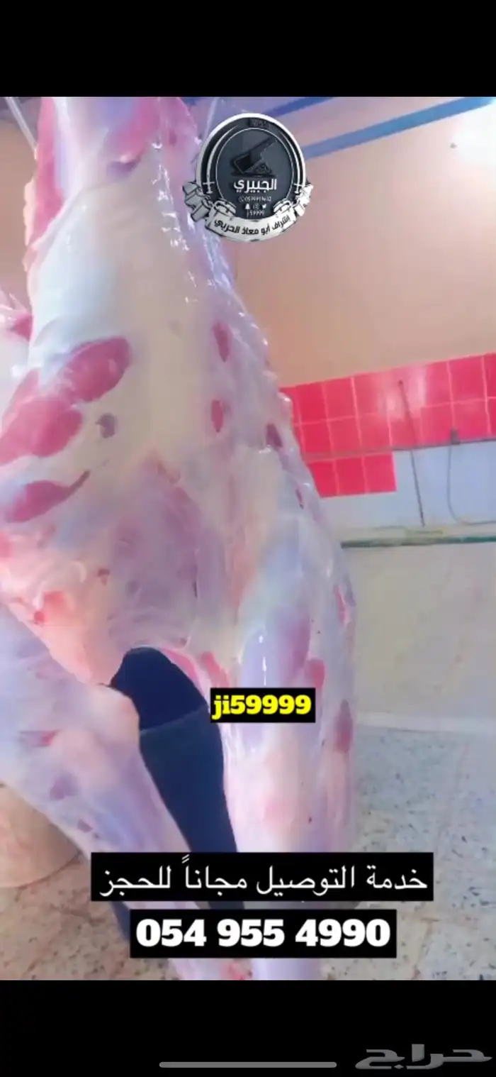 حوار حليب وعليه عرض ومتوفر خدمة الطبخ 8