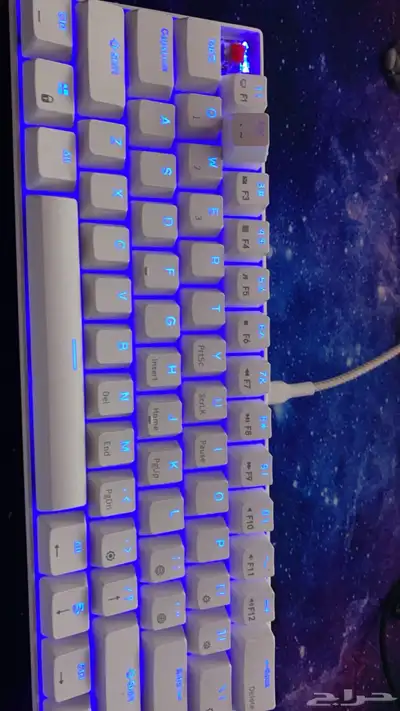 كيبورد RK61 اصلي 0