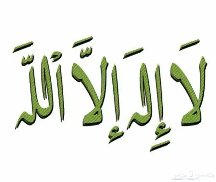 توصيل مشاوير وخدمات وطلبات من النقل العام العزيزية الى جميع 0