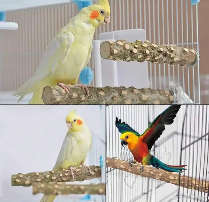 مجاثم خشبية 1