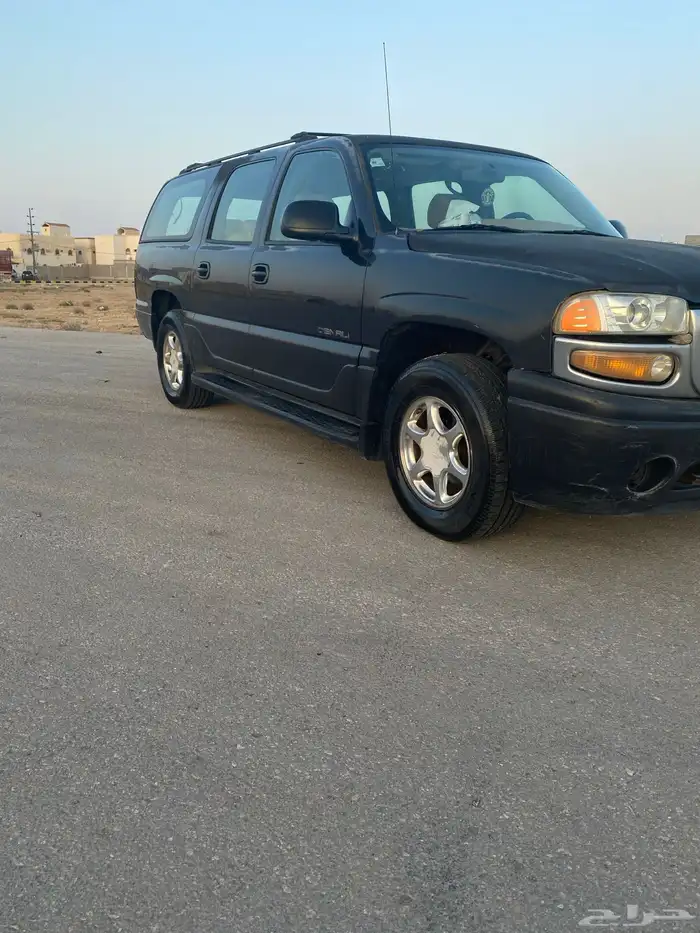 دينالي2004 0