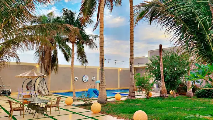 شاليه ورد روز مؤثث 5 مليون 13