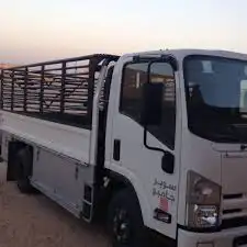 دينا جميع المشاوير 0