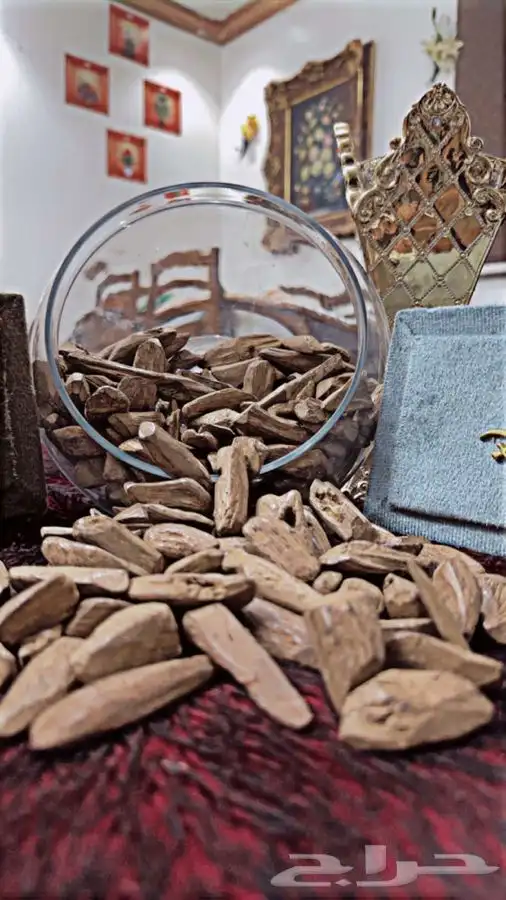 ميني مروكي سوبر 0