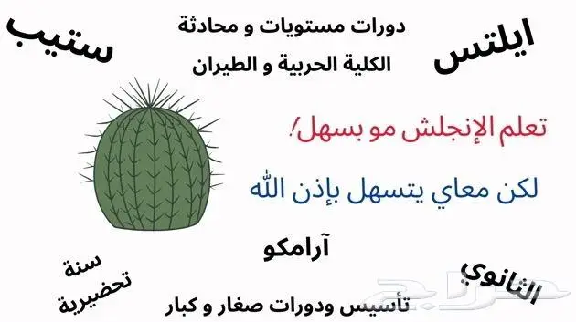 Online Certified English Instructor 0