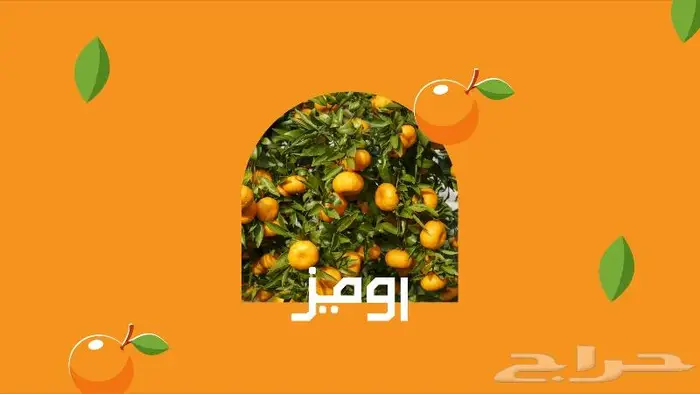 شعار لوقو لوجو علامة تجارية هوية تجارية بزنس كارد 12