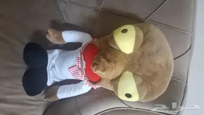 سلتوح الزومبي من مسامير 2