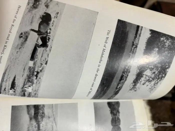 حاج في بلاد العرب كتاب الحج 26