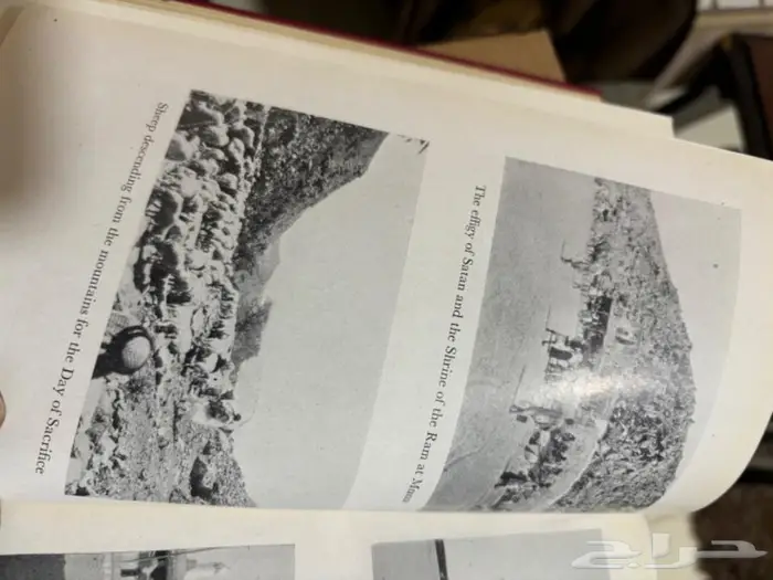 حاج في بلاد العرب كتاب الحج 31