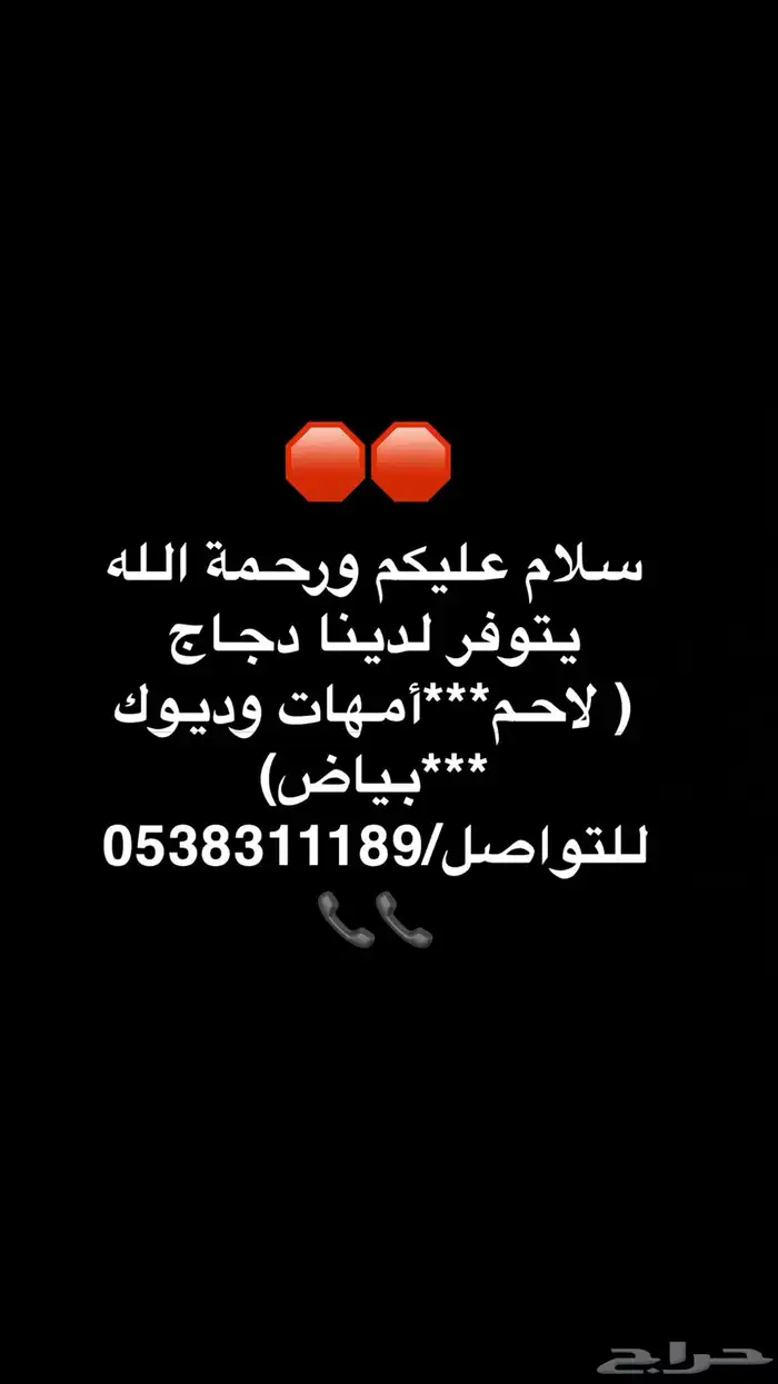 متوفر دجاج لاحم وبياض وامهات 0