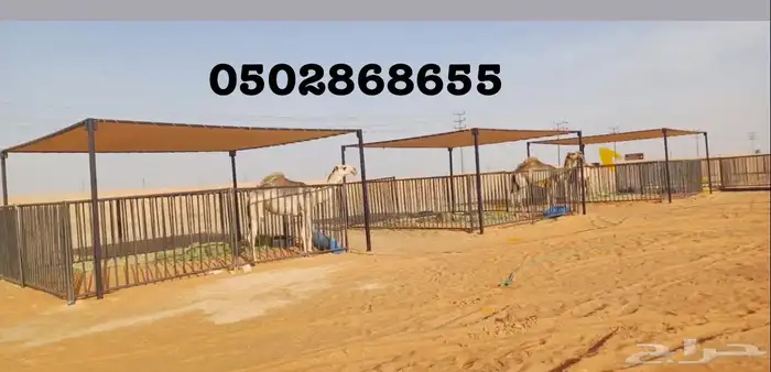 مظلات ابل مظله غنم ارتفاع 3.50 بدون أطناب بدون حبال 3