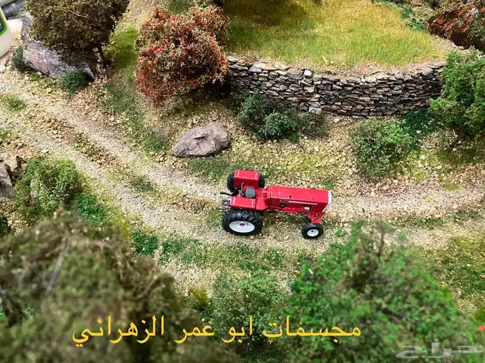 مجسم احترافي لوادي من الباحة 11